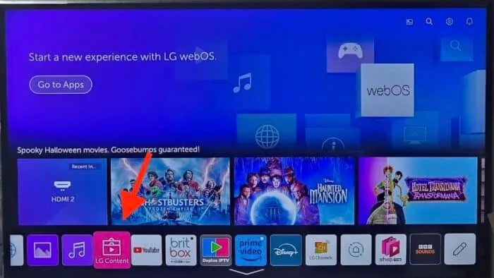 IBO Player installed on LG Smart TV
